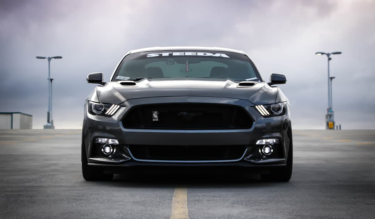 Party Bus vs. Limousine: Which Is Right for Your Event?