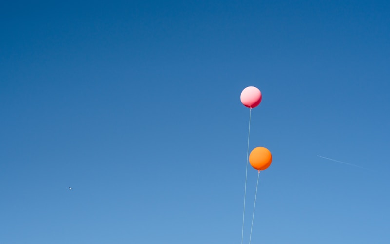 Baby Shower party bus and limo rental